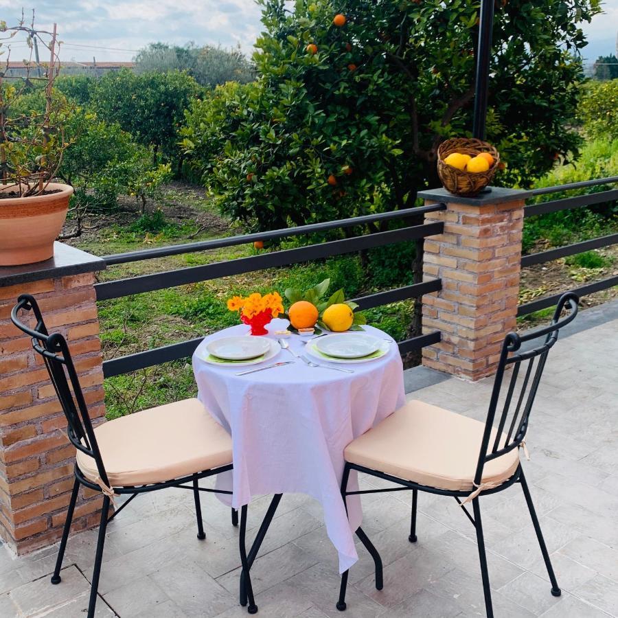 La Pomelia B&B Sofia Trappitello Eksteriør bilde
