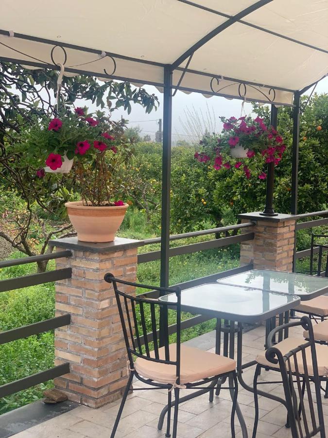 La Pomelia B&B Sofia Trappitello Eksteriør bilde