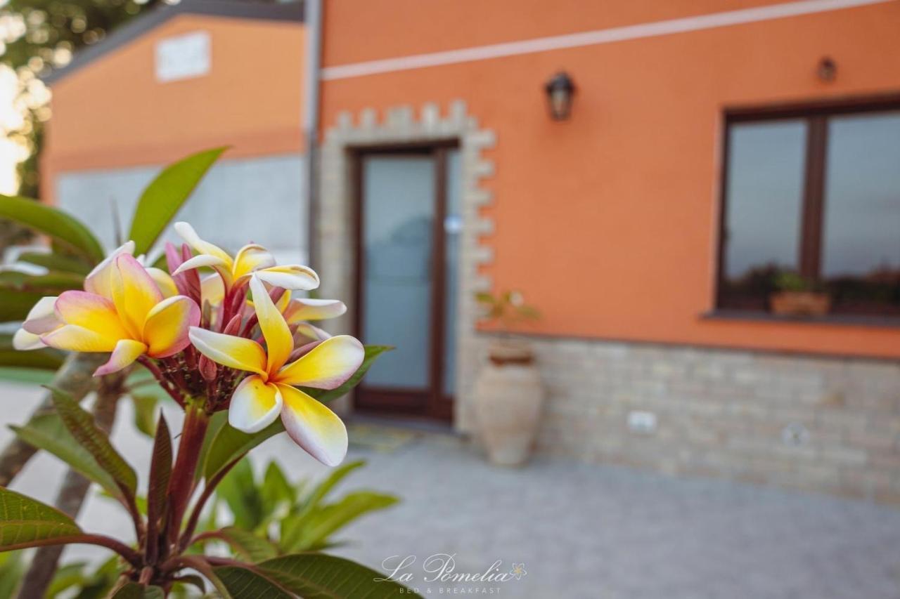 La Pomelia B&B Sofia Trappitello Eksteriør bilde