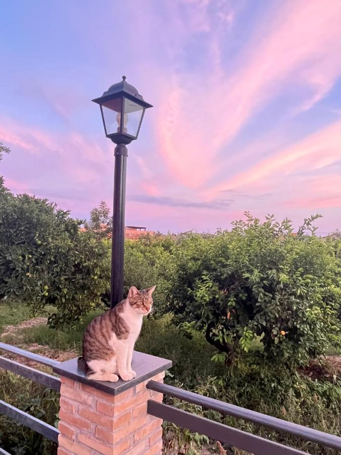 La Pomelia B&B Sofia Trappitello Eksteriør bilde