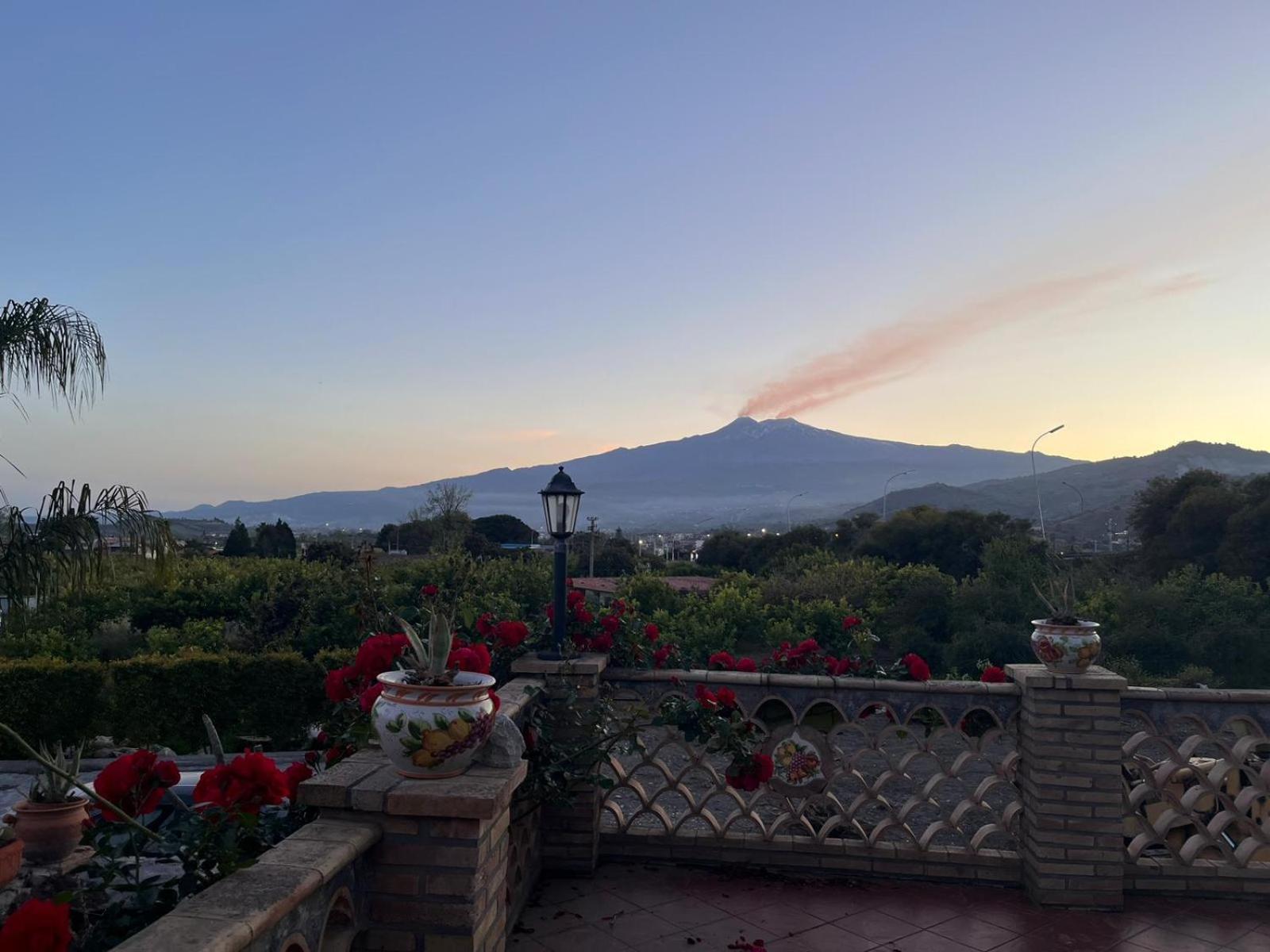 La Pomelia B&B Sofia Trappitello Eksteriør bilde